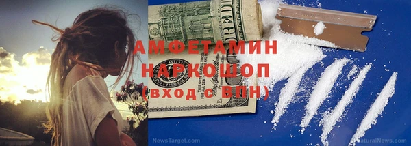 прущие грибы Алзамай