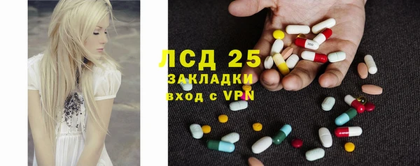 прущие грибы Алзамай