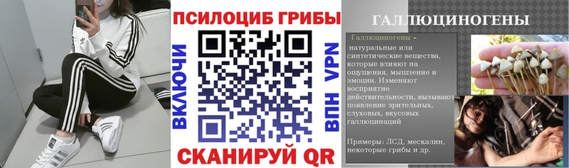 Псилоцибиновые грибы MAGIC MUSHROOMS  как найти закладки  Куровское 